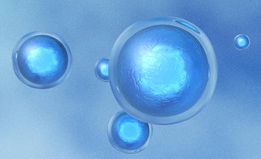 What Are the Cellular Repair Effects of Exosomes?
